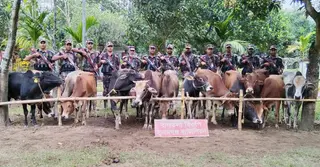 সুনামগঞ্জ সীমান্ত এলাকা থেকে ১৪টি ভারতীয় গরু আটক